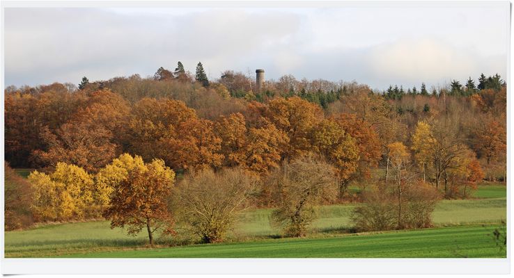 IMG_6295 2025.11.11 Heute Nachmittag - Der Hainigturm...