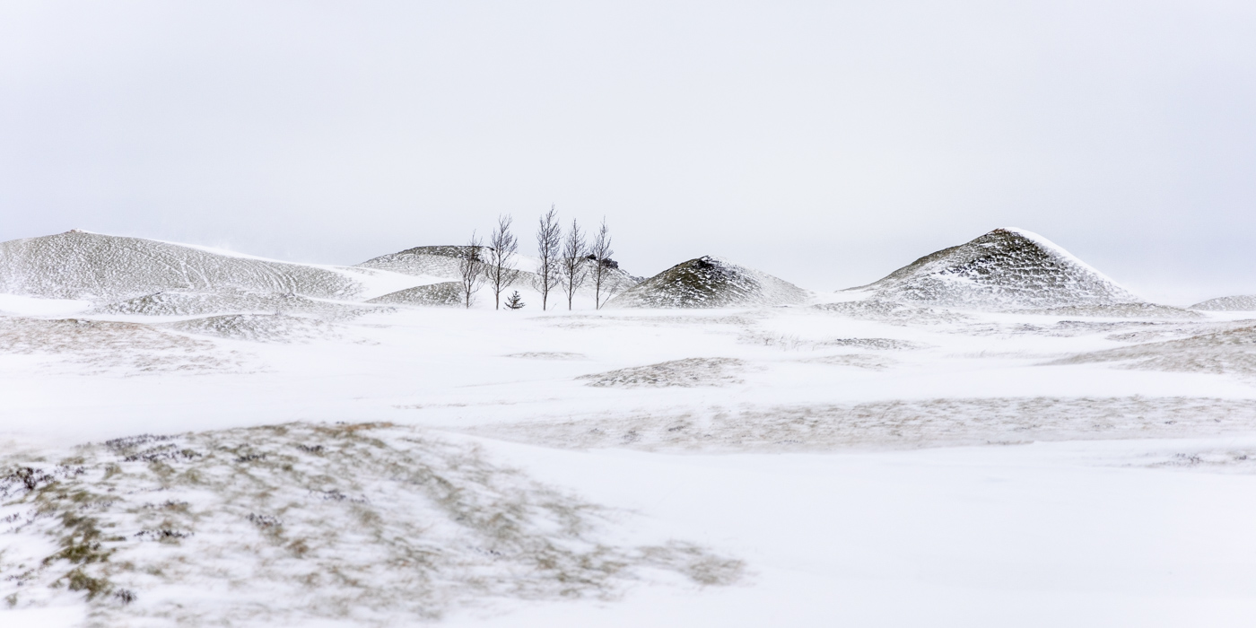 IMG_6604 Island März 2020 winterlandschaft