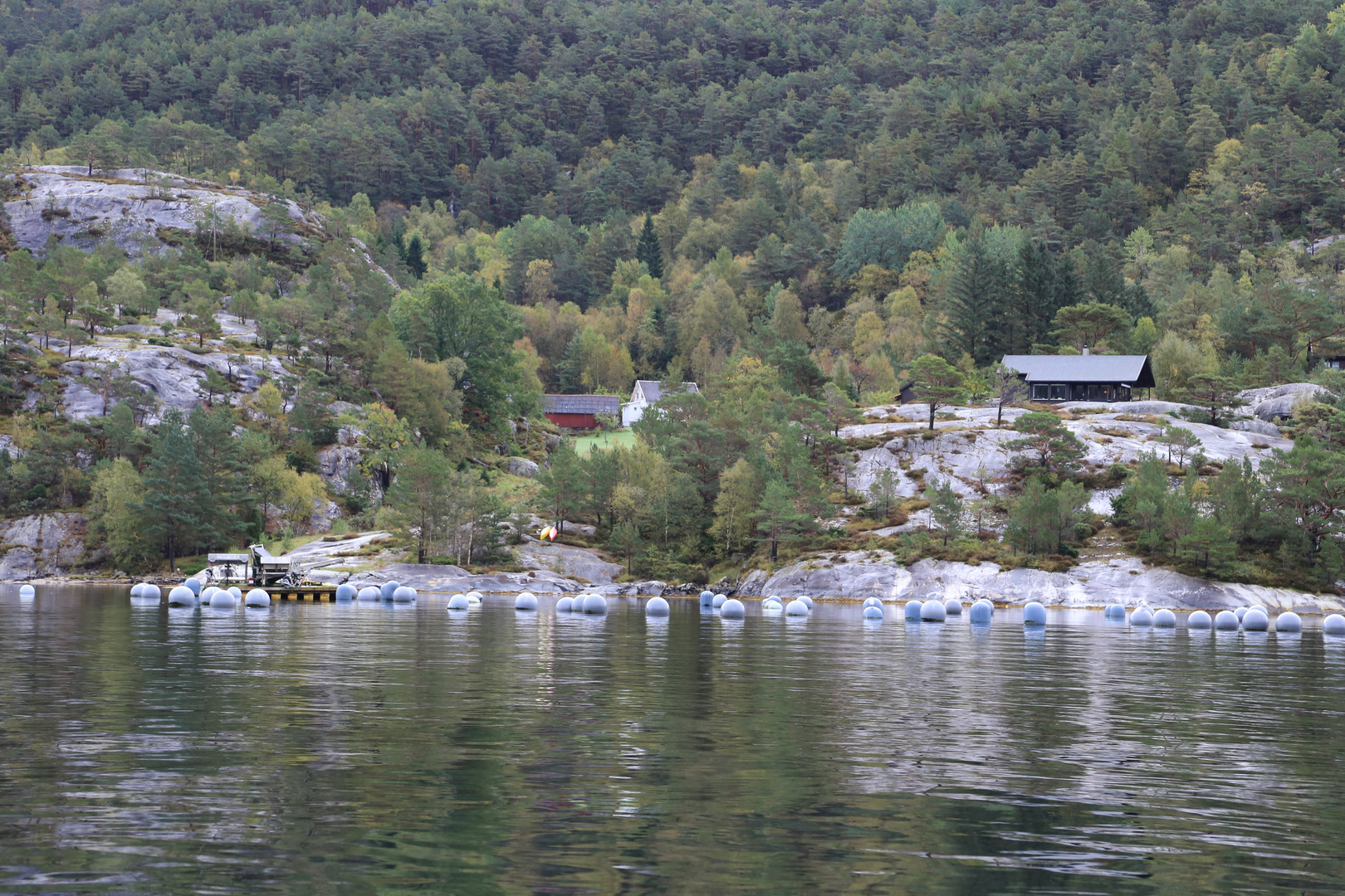 IMG_7177 _ Aufzuchtstation Norwegen Lysefjord