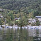 IMG_7177 _ Aufzuchtstation Norwegen Lysefjord