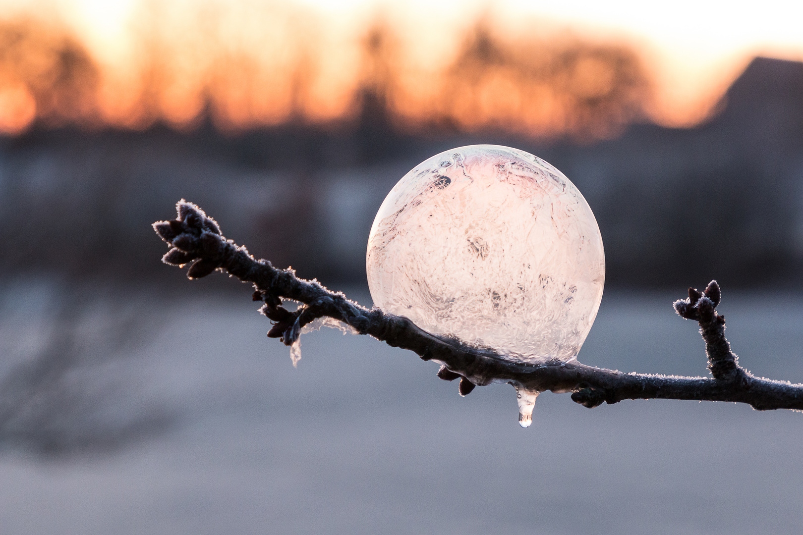 IMG_7202_frozen bubble-Zeit_1