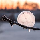 IMG_7202_frozen bubble-Zeit_1