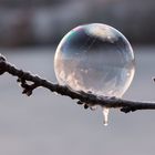 IMG_7215_frozen bubble-Zeit_3