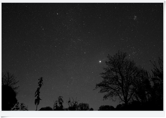 IMG_7451 2024.11.02 Sternenhimmel in SW