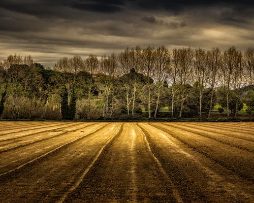 IMG_7525- calendario