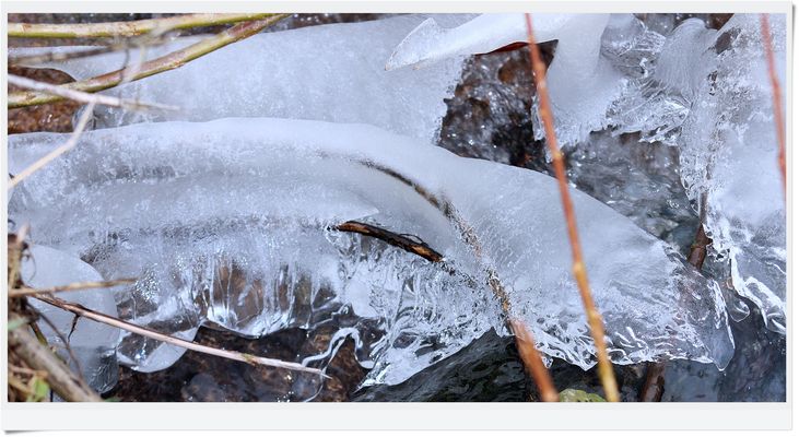 IMG_8588 2025.02.06 Eisformen..