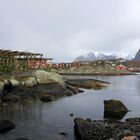 IMG_8732 Lofoten - Reine - schön war es