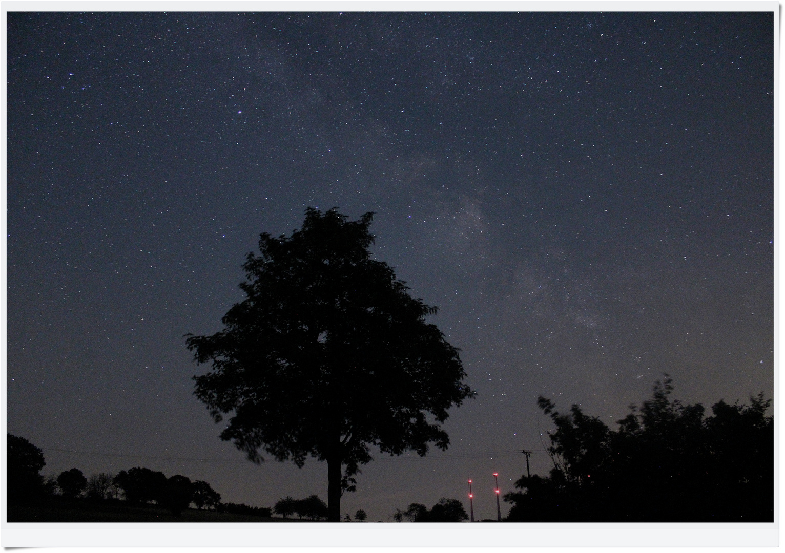 IMG_8815 2023.06.18 Baum mit Milchstraße 