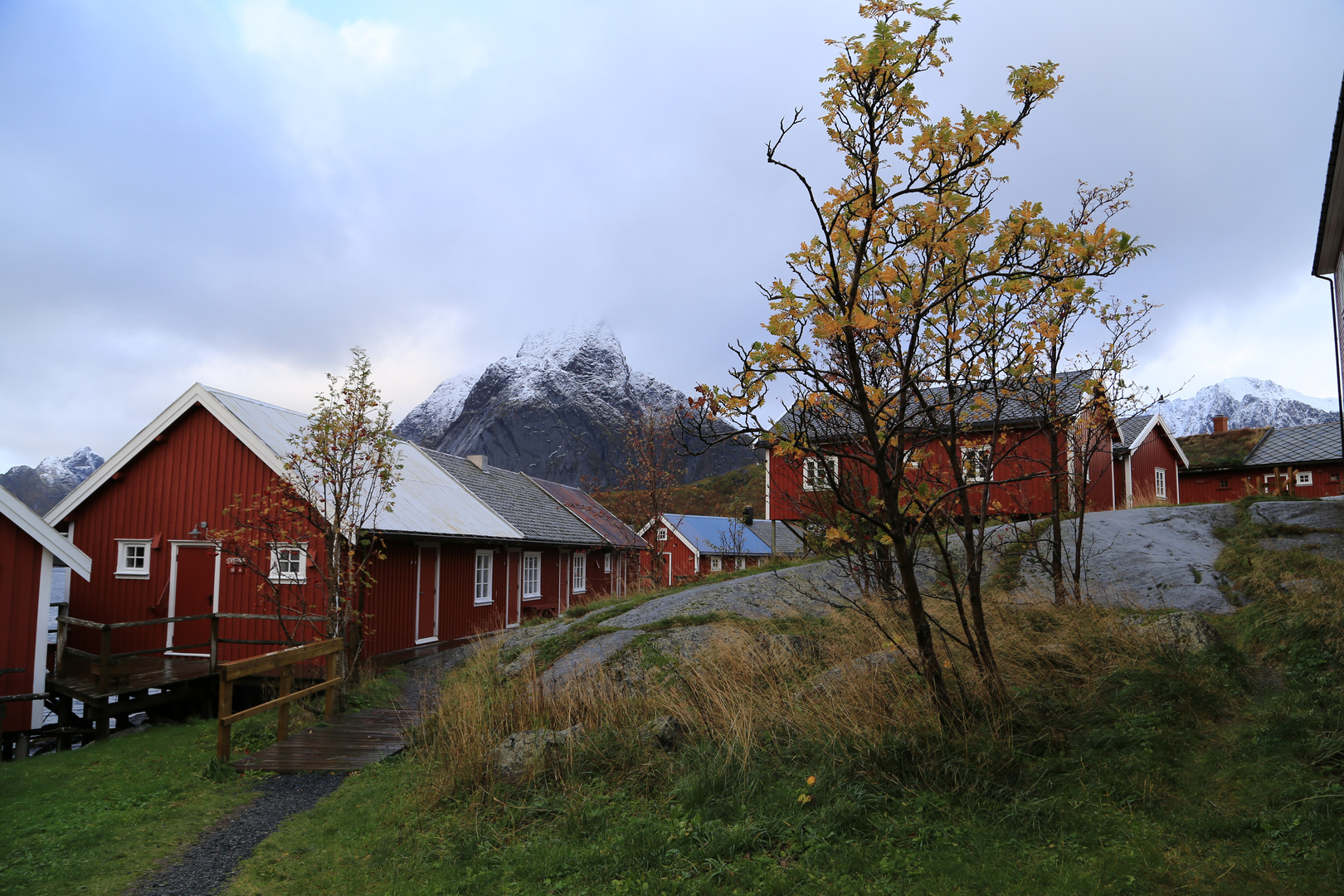 IMG_8957 Reine - Norwegen im Oktober 