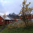 IMG_8957 Reine - Norwegen im Oktober 