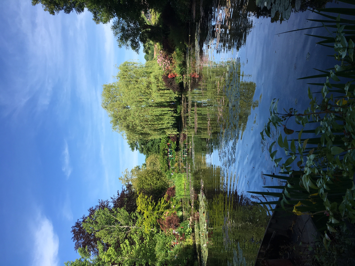 IMG_9053 Foto & Bild landschaft, garten