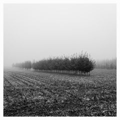 IMG_9070