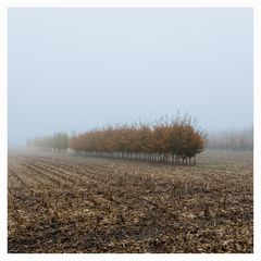 IMG_9070-Bearbeitet