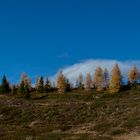 IMG_9487-Herbststimmung am Hochstein