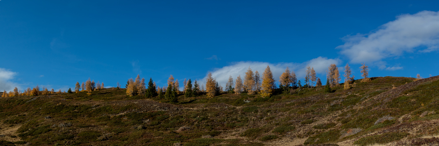 IMG_9487-Herbststimmung am Hochstein