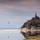 IMG_9660-mont saint michel klein