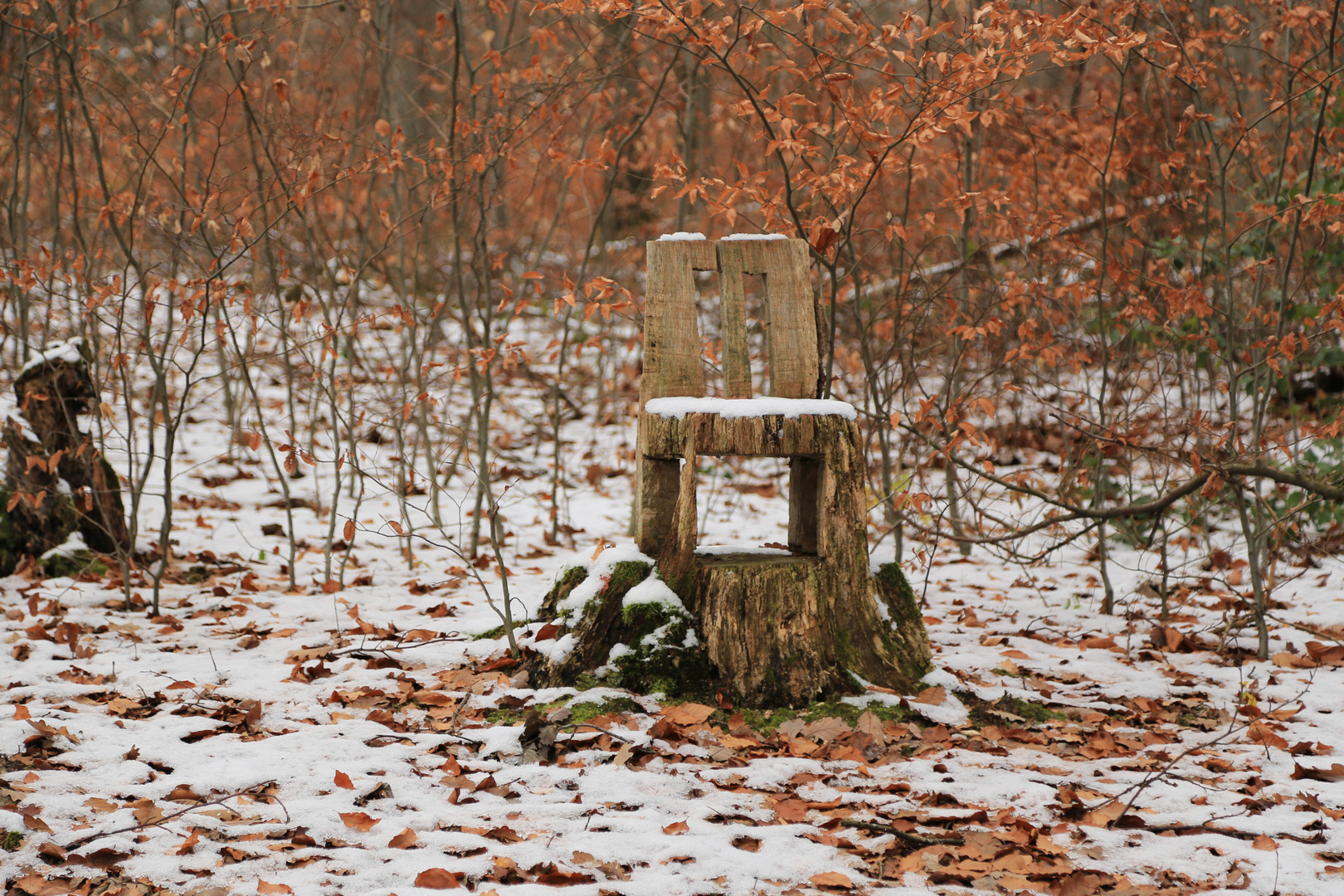 IMG_9868 der Stuhl - Eindrücke in der Eifel