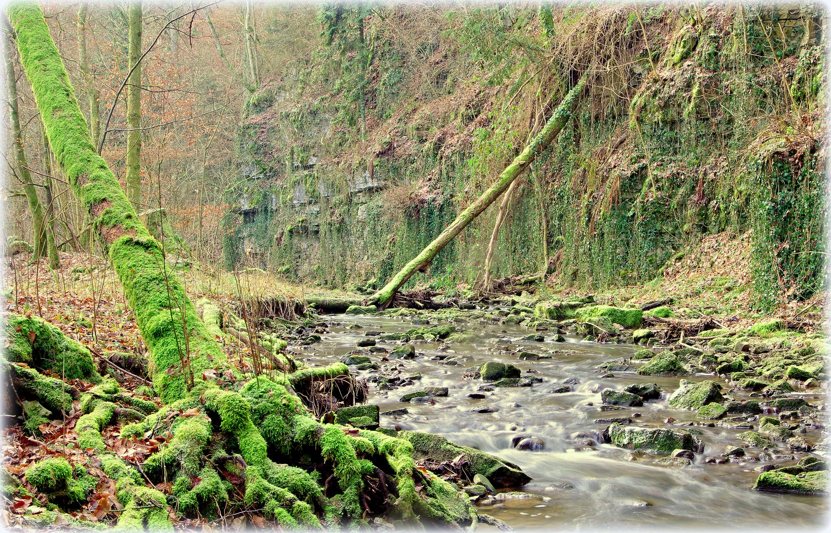 IMGP8941im katzenbachtal