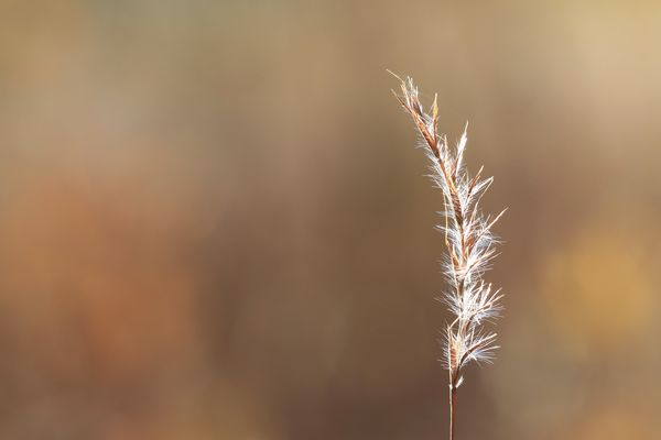 ... imherbstlicht ...