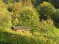 Imkerhütte im Wald von Mareike Possienke