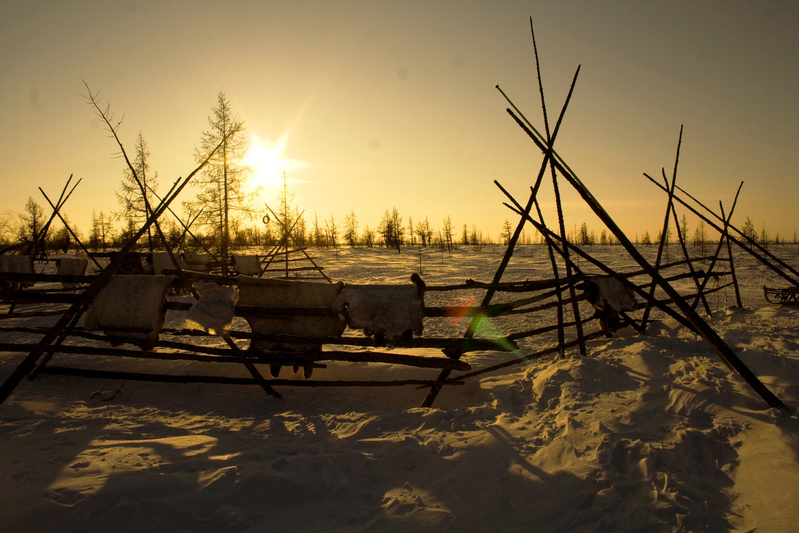 Immagini dalla Siberia