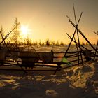 Immagini dalla Siberia