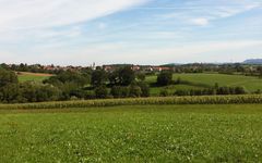 Immenhausen, Gemeinde Kusterdingen