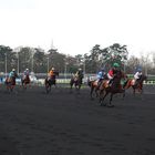 Immense vincennes