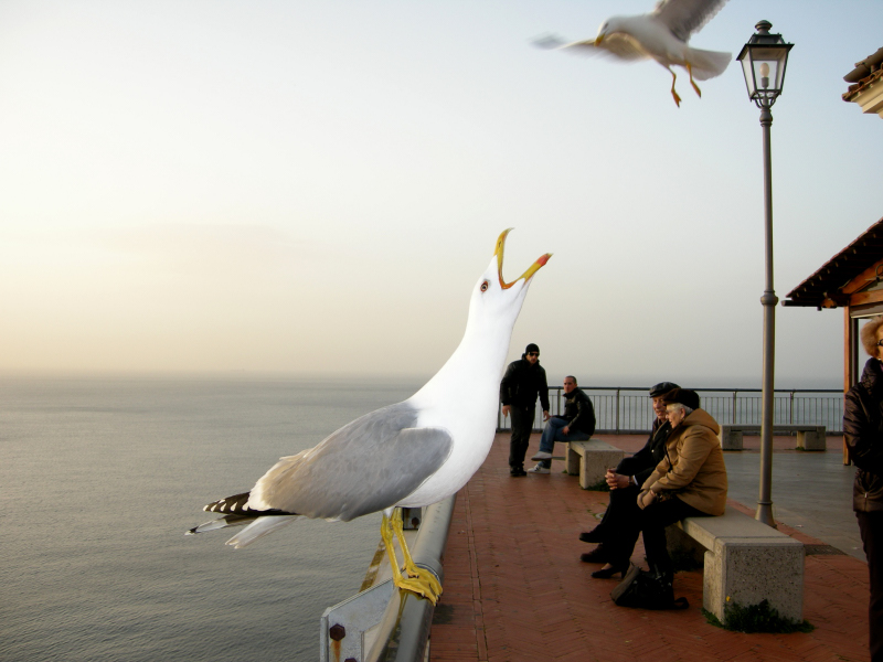 immensità dell'amore