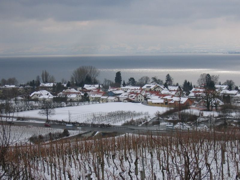 Immenstaad im Winter