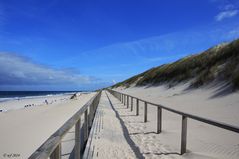 Immer am Strand entlang