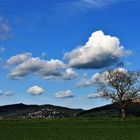 Immer an der Bergstraße lang...