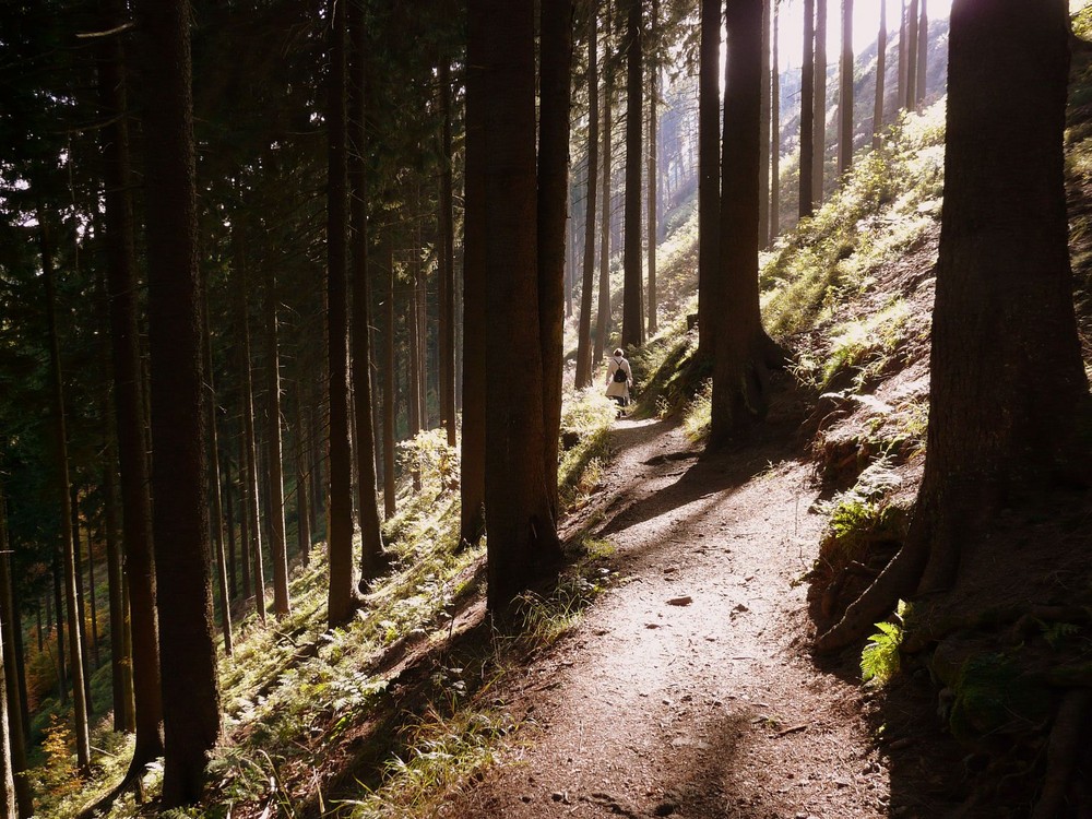 Immer auf dem Weg bleiben