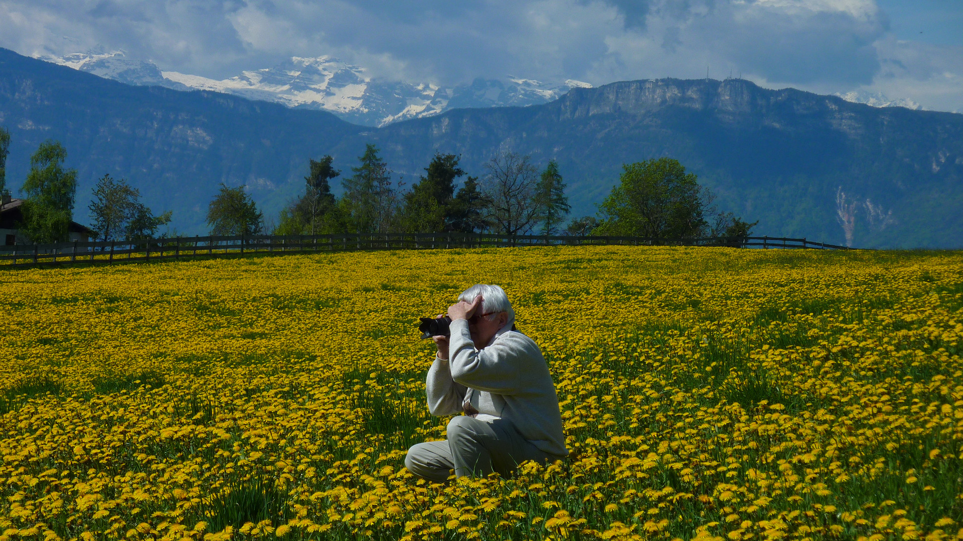 Immer auf der Jagd nach guten Fotos