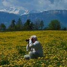 Immer auf der Jagd nach guten Fotos