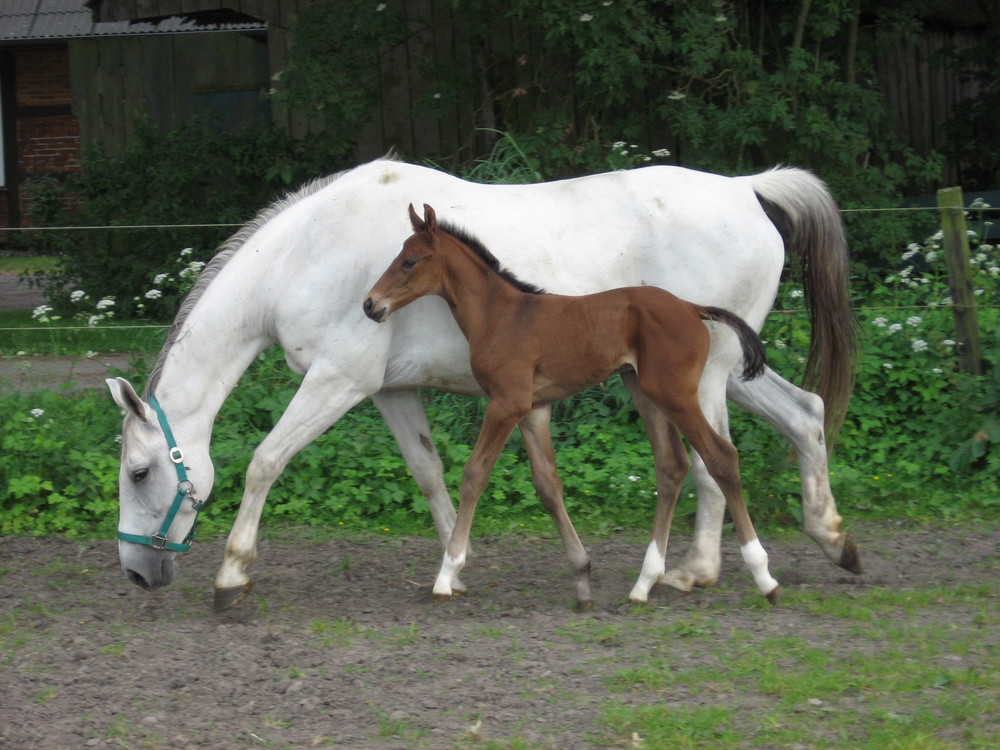 immer bei Mama bleiben!