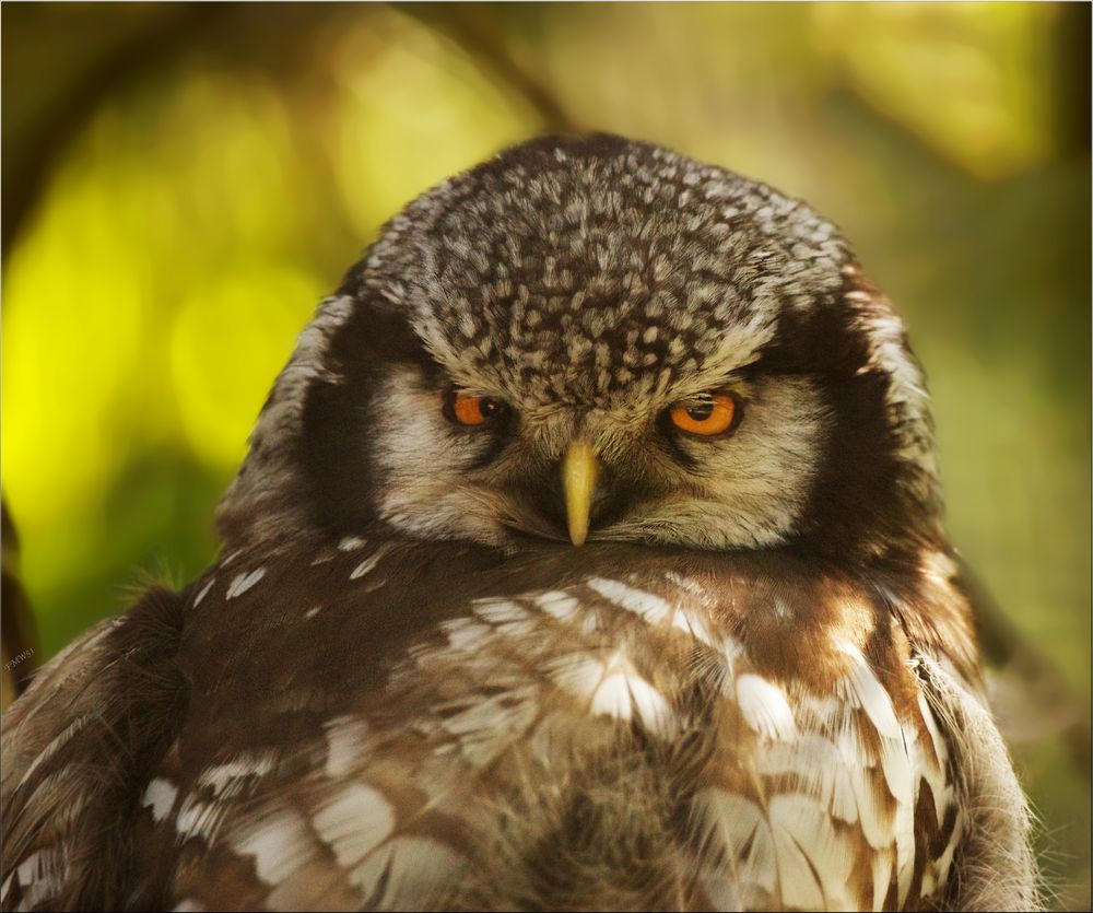 Immer beide Augen offenhalten - Alles voll im Blick