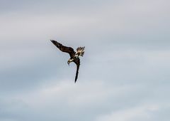 Immer das Ziel im Auge und hinunter.   _DSC9036