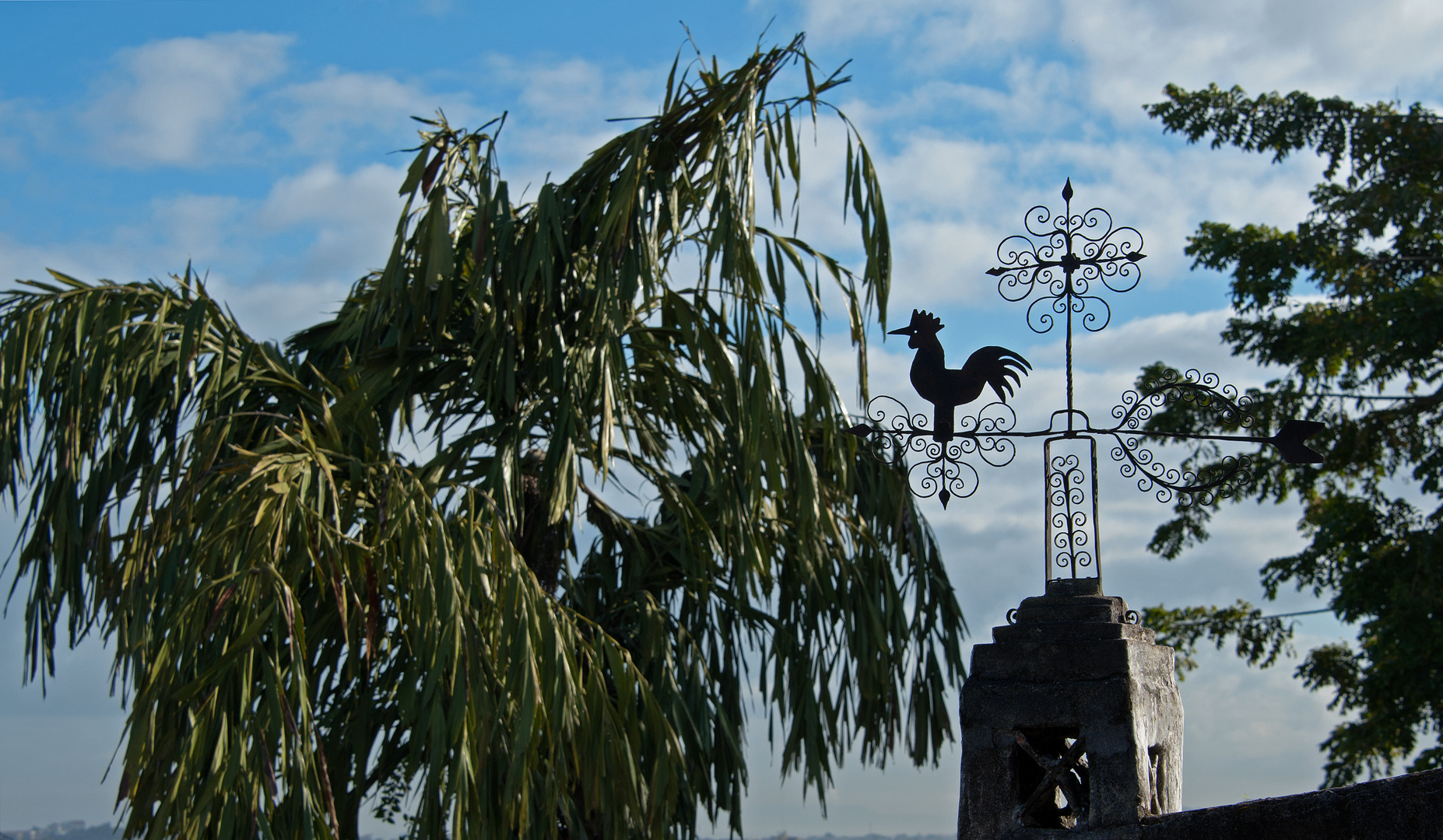 Immer dem Wind nach