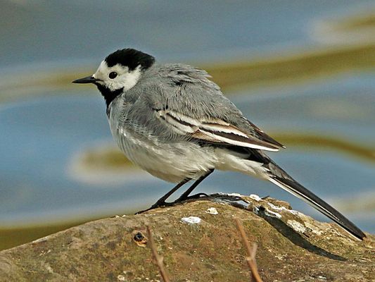 immer den Durchblick halten