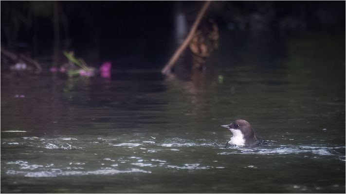 Immer den Überblick...