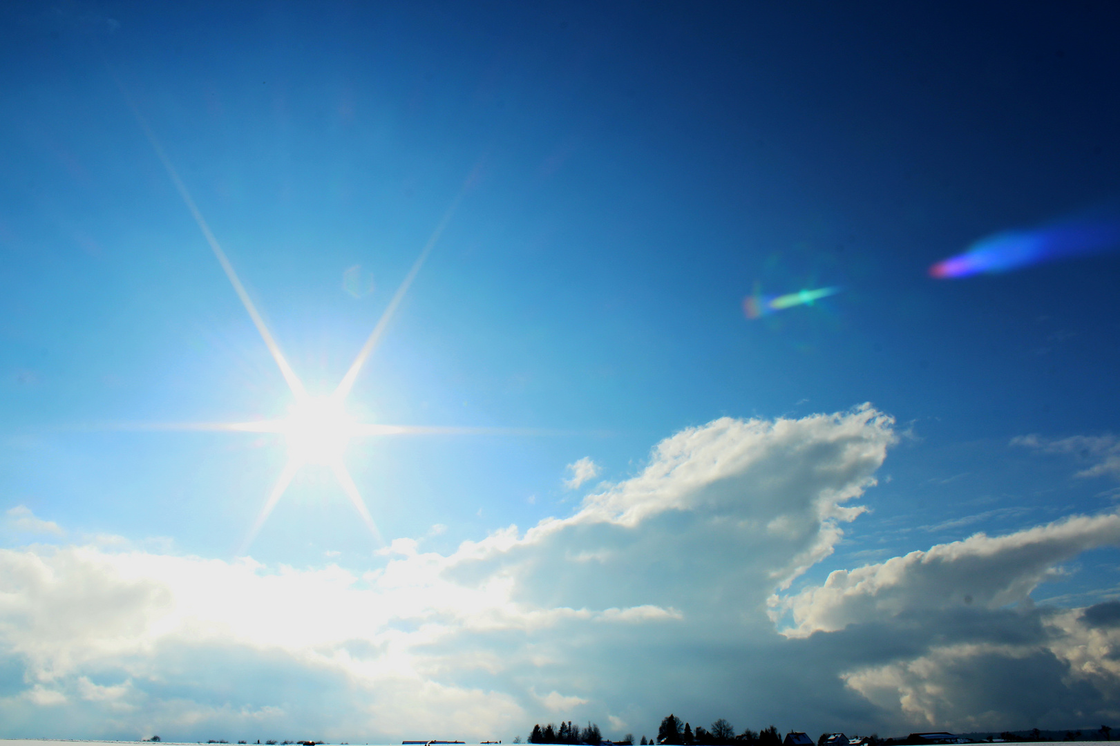 Immer der Sonne entgegen