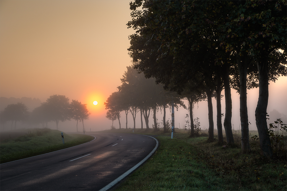 immer der Sonne entgegen