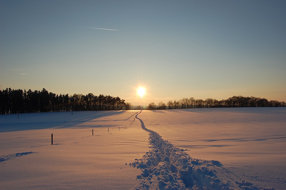 Immer der Sonne entgegen