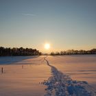 Immer der Sonne entgegen