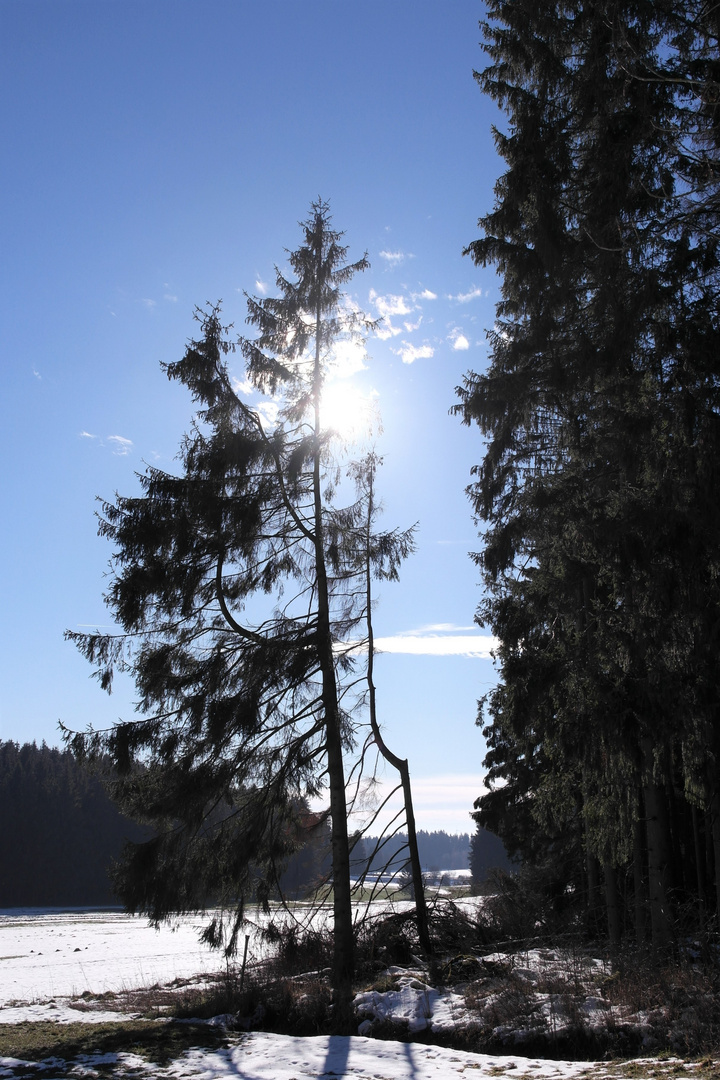 Immer der Sonne nach durch das  Tal