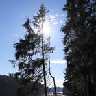 Immer der Sonne nach durch das  Tal