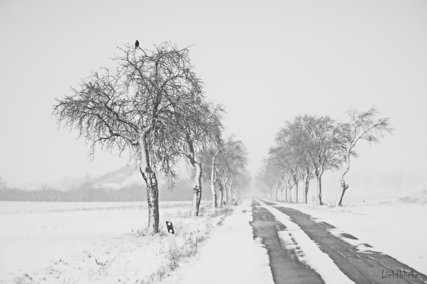 immer der Straße entlang