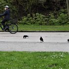 Immer die lästigen Radfahrer!