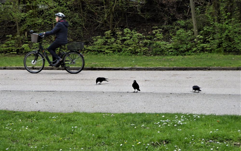 Immer die lästigen Radfahrer!